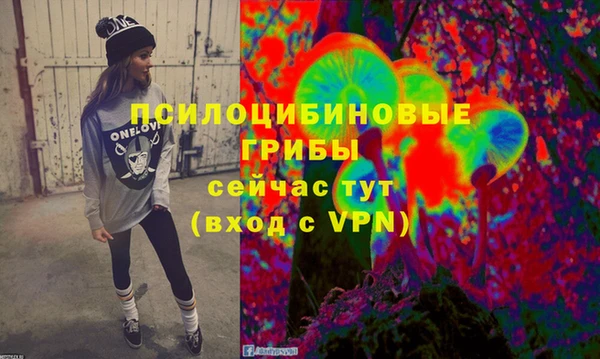 мдпв Армянск