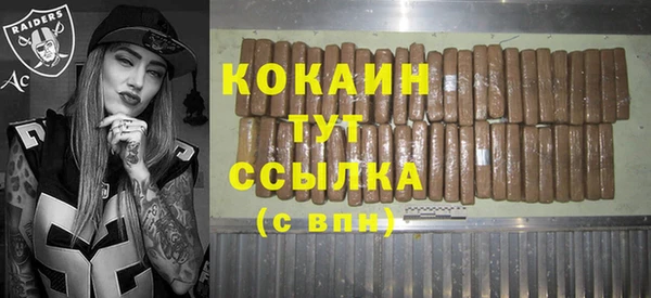 эйфоретик Арсеньев