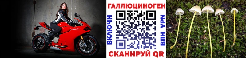 omg зеркало Пошехонье Галлюциногенные грибы мицелий