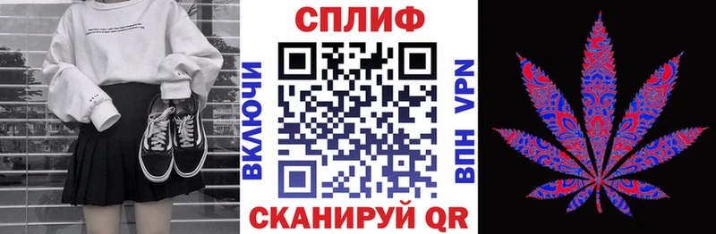 Бошки Шишки ГИДРОПОН  Пошехонье 